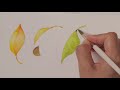 수채화 기초 tutorial_43 초보자를 위한 수채화 강의👩‍🎨 낙엽과사과그리기🍂🍎