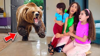 A Huge Grizzly Bear Broke Into Our House...