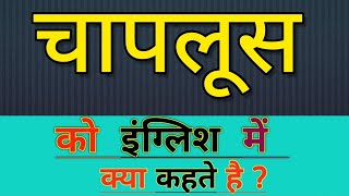 चापलूस को इंग्लिश में क्या कहते हैं | chaploos ko english mein kya kahate hain l hindi meaning