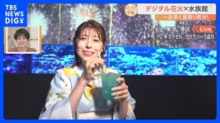 水族館がまるで夏祭り会場！縁日や花火の「デジタルアート」と魚たちが融合　雨の日でも家族で楽しめる話題の映えスポット紹介【すたすた中継】｜TBS NEWS DIG