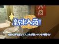 【新潟・越後湯沢】1泊2日温泉旅の宿泊レビュー（後編：お宿編）湯けむりの宿・雪の花｜利き酒＆貸切風呂を満喫！