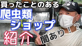 爬虫類ショップの闇！？なんでこうなった？自己解析！店舗紹介！ボールパイソン　ブラッドパイソン　爬虫類　飼育　マニア