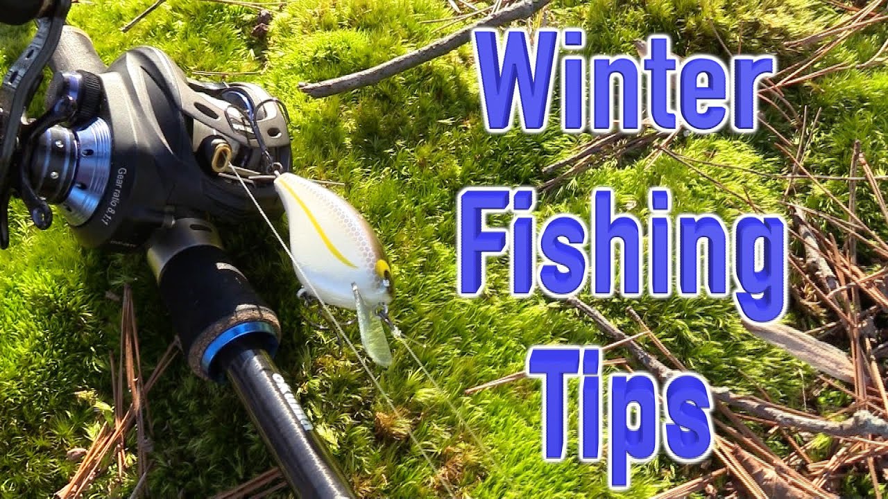 Winter Fishing Tips For Bass - BEST Winter Baits - YouTube