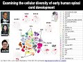 Deciphering gene regulatory networks of cell fate - Sushmita Roy - RegSys - Keynote - ISMB 2022