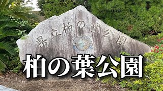 【千葉】千葉人気観光スポット 柏の葉公園に行ってみた！ひとり旅【Vlog】