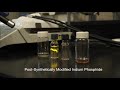 synthesis of cdse and inp quantum dots