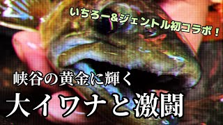 【大岩魚と激闘】全員が源流尺イワナをキャッチする快挙！