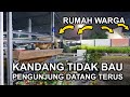 Beternak di Tengah Kota? Ini Caranya! #ternak #beternak #tengahkota #kambing #domba