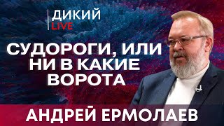 Андрей Ермолаев: Газовая \