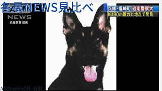 逃げ出した警察犬「クレバ号」を発見【10月27日のランキング】