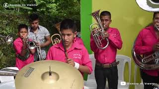 Banda Palo de Rosa - Mi Tinajita
