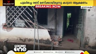 അതിരപ്പിള്ളിയിൽ കാട്ടാന ആക്രമണം; തോട്ടം തൊഴിലാളിയുടെ വീട് തകർത്തു