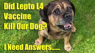 Did The Lepto L4 Vaccine Cause The Death Of Our Dog? I Need Answers!