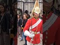 make way for kings guard #horseguardsparade