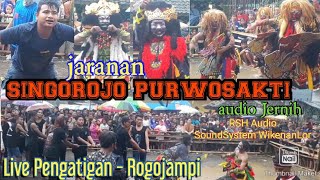 HEBOH.. ATRAKSI BUTO || SINGOROJO PURWOSAKTI LIVE PENGATIGAN - ROGOJAMPI - BANYUWANGI || RSH AUDIO