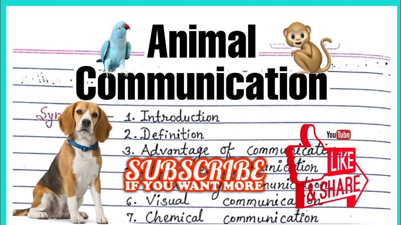 Animal Communication And Types Of Communication - YouTube