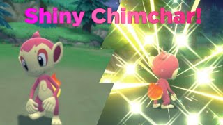 [Live] Shiny Chimchar in 3558 resets!  [Pokemon Brilliant Diamond] [DTQ#1]