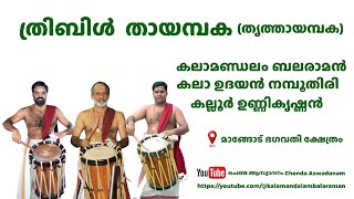 തായമ്പക-കലാ ബലരാമൻ,കലാനി. ഉദയൻ നമ്പൂതിരി,കല്ലൂർ ഉണ്ണികൃഷ്ണൻ Thayambaka-Balaraman,Udayan,Unnikrishnan