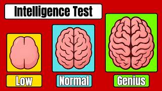 Only 9% Can Pass This Intelligence Test – Can You?