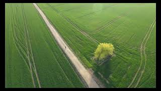 Breathtaking FPV 5K Drone Exploration: The Magic of South Paris Region 🌳🌿