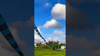 Beautiful snake kite flying | long tail | sri lanka | 2023 | #kitrs# |#kites#kite#kiteday#kiteflying