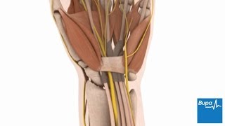How open carpal tunnel surgery is carried out