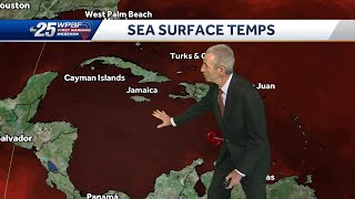 Tropical Depression Nine strengthens in the Caribbean, forecast to hit Florida as Category 3 hurr...