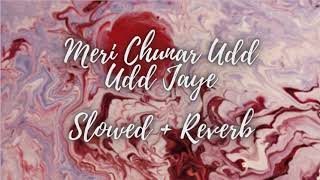 Meri Chunar Udd Udd Jaye - Slowed + Reverb