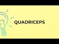 What is the meaning of the word QUADRICEPS?