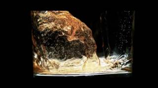 DUI Prescription Drugs 2016 :30 - English