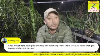 Chia sẽ kinh nghiệm chăm sóc hoa lan