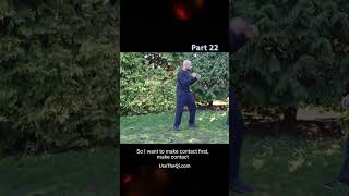 Wing Chun vs Mantis Kung Fu Techniques - Part 22 #shorts