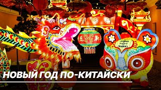 Москва готовится к встрече китайского Нового года. Что символизирует зеленый деревянный дракон?