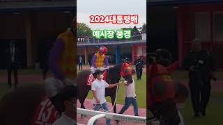 [경마]2024대통령배 예시장 풍경#경마#말#shrots #shortvideo #horse