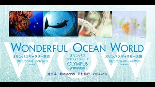 オリンパス水中写真展　「Wonderful Ocean World」　作品解説