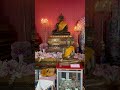 早安 保佑 愿众生平安吉祥 泰国 寺庙 佛教 佛 bangkok temple pray buddhism buddha shorts