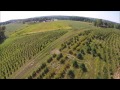 grower explains how to start a tree farm