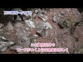 【日帰り可能】天城山　縦走登山の様子を紹介します！