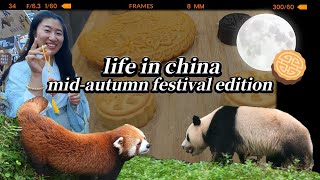 LIFE IN CHINA | 🐼 Pandas \u0026 Mid-Autumn Festival in China 🥮 中秋节快乐~