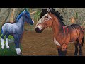 Broken Power Star Stable Online Quest