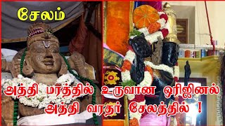 சேலம் அத்தி வரதர் அபூர்வ தரிசனம் | Athi Varadar Temple | Anmegam | 40 ஆண்டுகள் அதிசயங்கள்