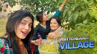 VILLAGE LIFE VLOG 🛖 | Mama aur Hira ny shahtoot tory 😅