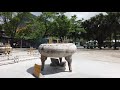 【4k】walk at ngong ping hong kong big buddhas po lin monetary