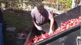 Cider Pressing 2013