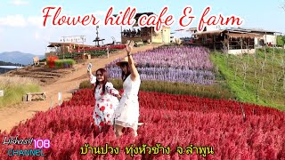 เที่ยว Flower hill cafe \u0026 farm ทุ่งหัวช้าง ลำพูน