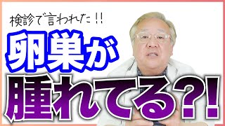 健診で卵巣が腫れていると言われた!?産婦人科医の上村茂仁が解説いたします！生理通などの原因は？