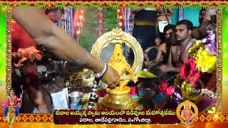 పడాల అయ్యప్ప స్వామి ఆలయంలో పడిపూజ మహోత్సవం | అభిషేకం | padi pooja | Tadepalligudem