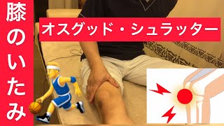 健康ストレッチ☝️オスグッド・シュラッター病‼️膝の痛みへの大腿四頭筋セルフケア😊