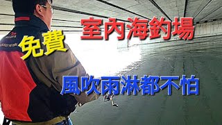 完全免費野場室內海釣場，但環境記得要保持一下喔！Fishing  台湾の釣り 낚시 câucá 爆釣 パチスロ