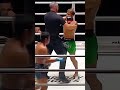 ‼️ shorts fightshort edit trending viral fighting fighter boxing muaythai mma taekwondo